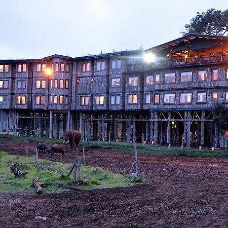 Treetops Mweiga Dış mekan fotoğraf