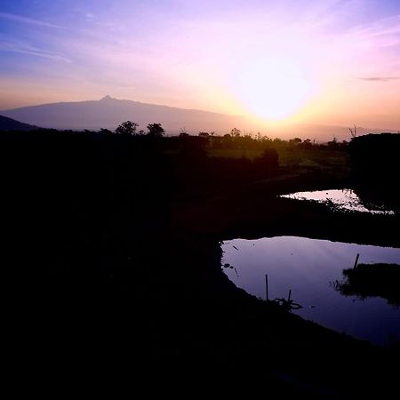 Treetops Mweiga Dış mekan fotoğraf