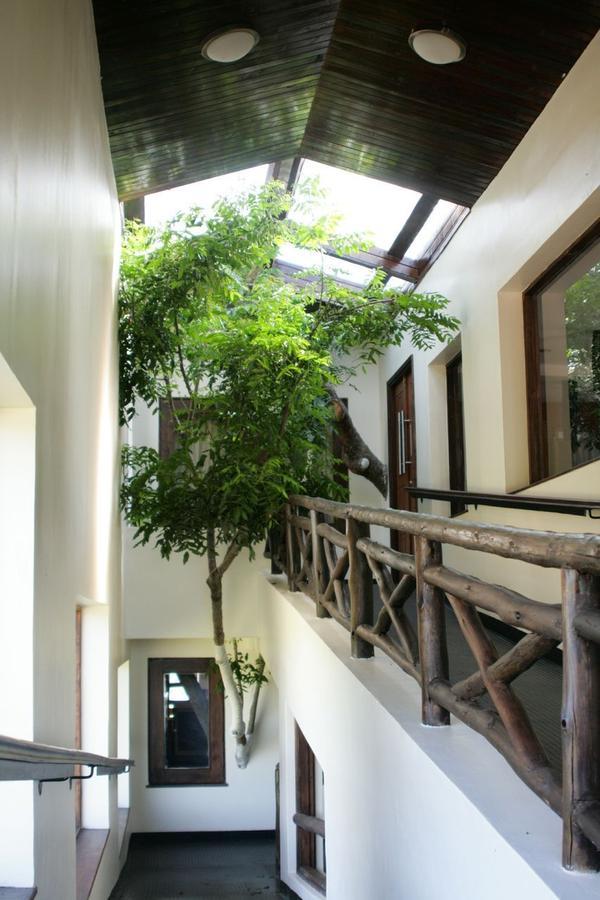 Treetops Mweiga Dış mekan fotoğraf