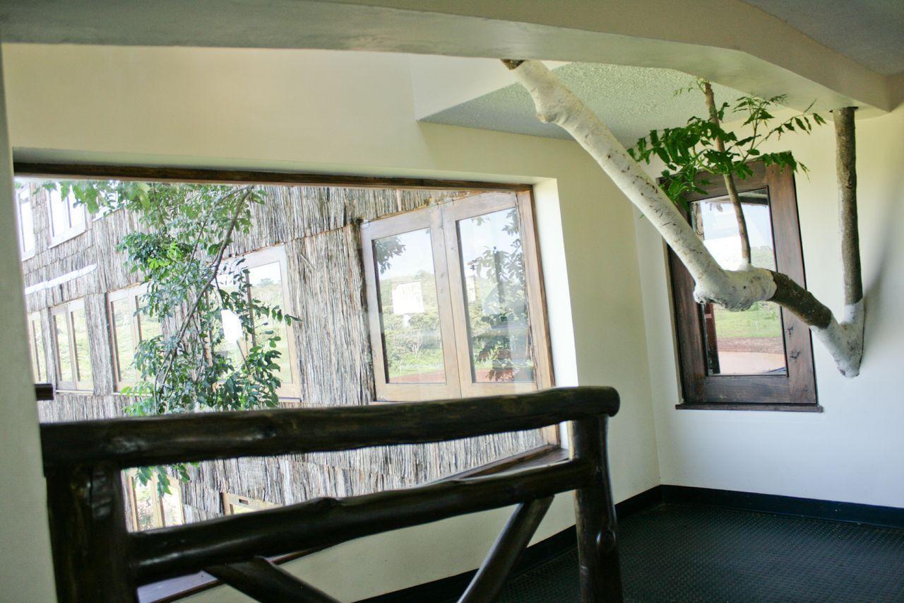 Treetops Mweiga Dış mekan fotoğraf