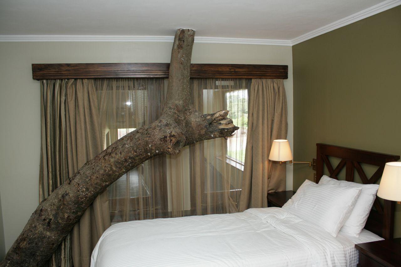 Treetops Mweiga Oda fotoğraf