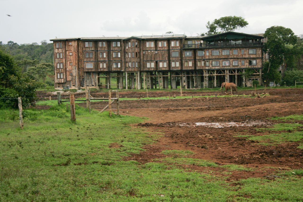 Treetops Mweiga Dış mekan fotoğraf
