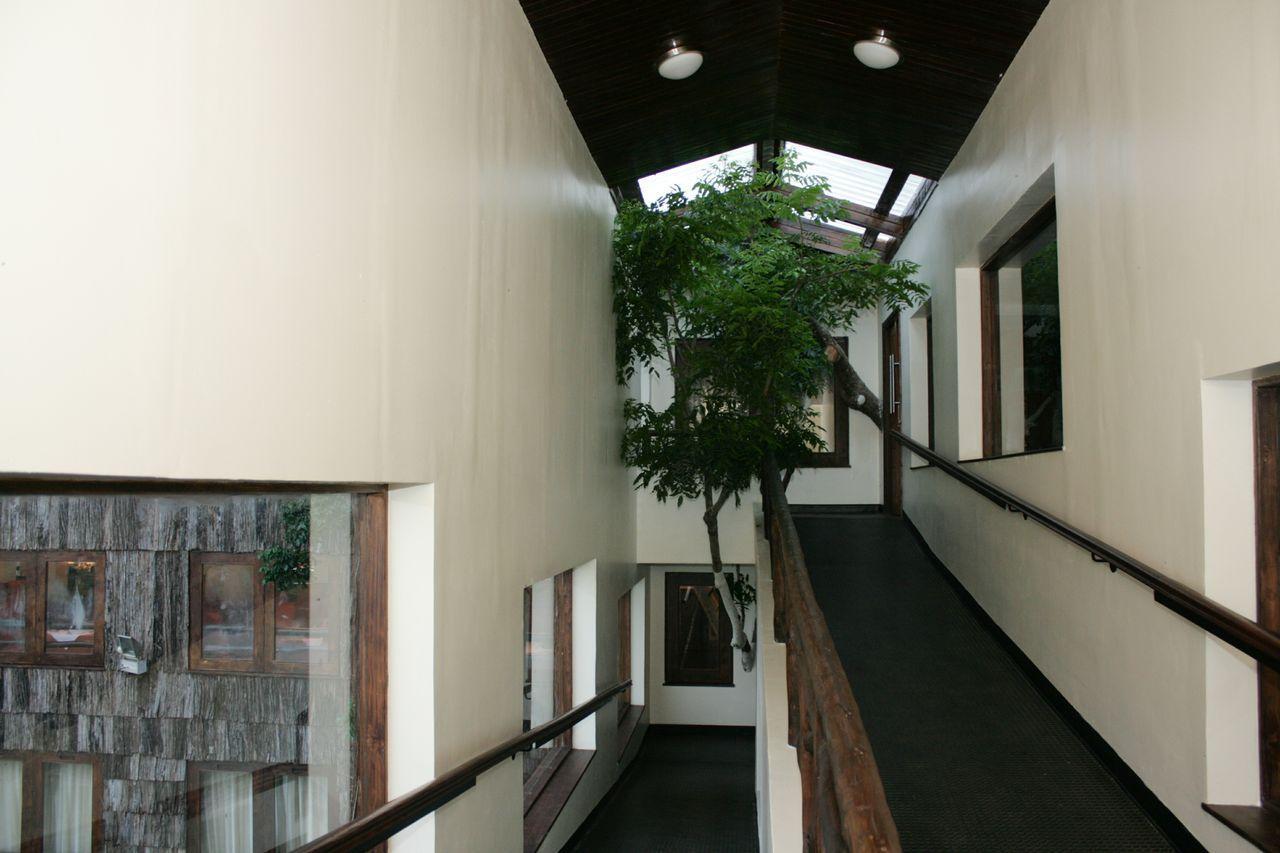 Treetops Mweiga Dış mekan fotoğraf