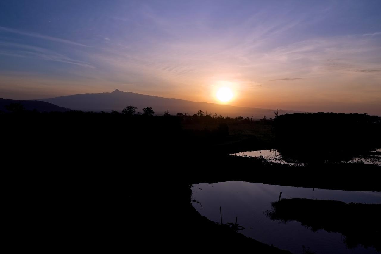 Treetops Mweiga Dış mekan fotoğraf