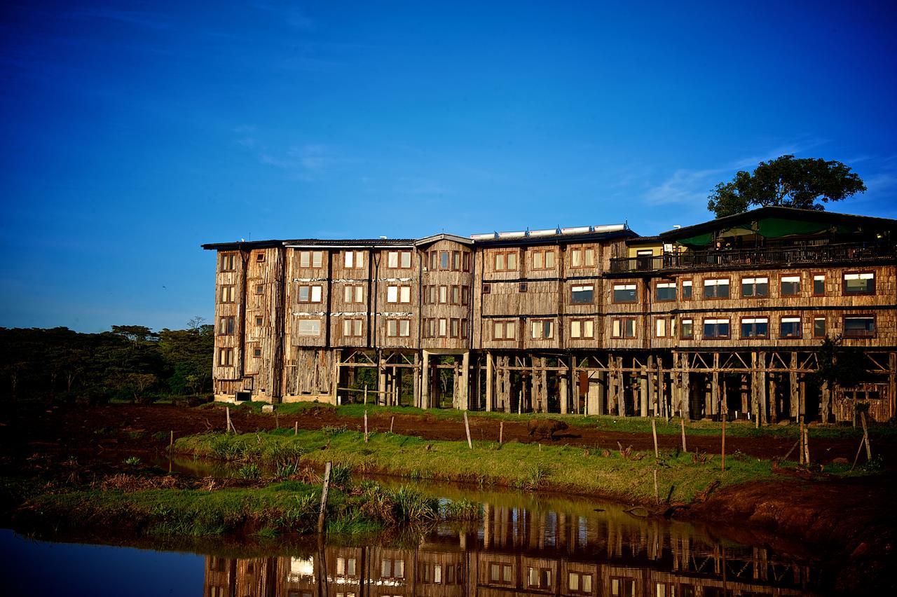 Treetops Mweiga Dış mekan fotoğraf