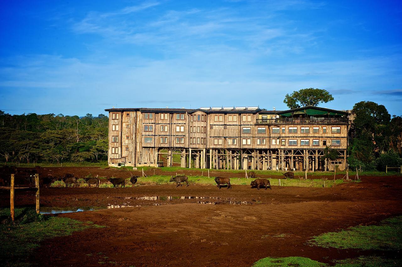 Treetops Mweiga Dış mekan fotoğraf