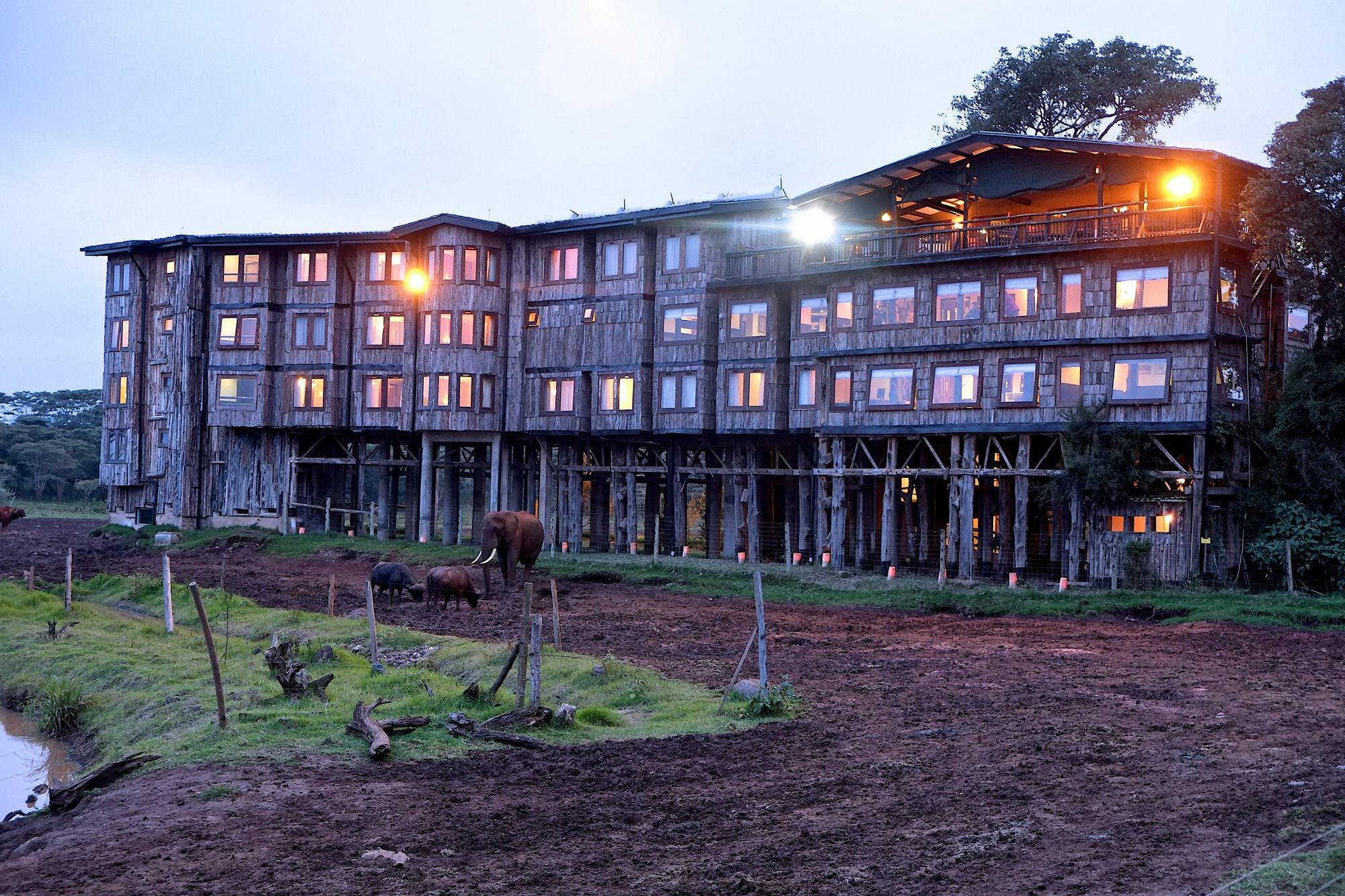 Treetops Mweiga Dış mekan fotoğraf