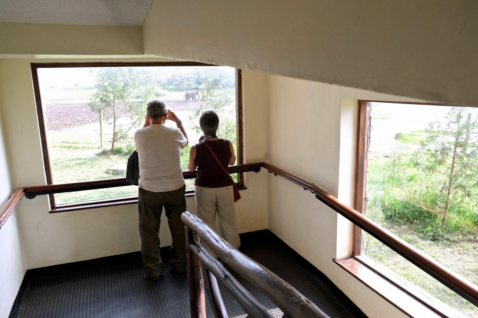 Treetops Mweiga Dış mekan fotoğraf